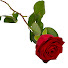 _gg-ZC9Kx04-channel-avatar-oviovi ovi