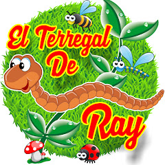 EL TERREGAL DE RAY