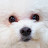 @user-dv6tt8wr6g