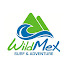 rOMJ3yfn0Ng-channel-avatar-WildMex Surf & Adventure