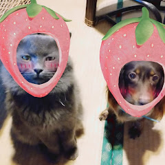 わんこにゃんこと田舎暮らし