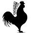 58Hg8Pgvh74-channel-avatar-Subtle Rooster