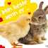 SCErWEEfPWI-channel-avatar-Emma`s Vidunderlige Verden