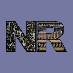Neural Reckoning