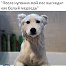 Автор