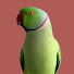 WAqQvhlN4HU-channel-avatar-Facebeak