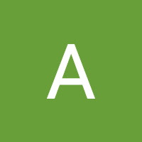 Anita Mishra profile image