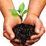 QnZ3LSsQkSw-channel-avatar-Urban Gardening