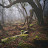 @draganArrow99 Avatar