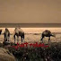 h7otEz-xSCU-channel-avatar-PlataAndSalut