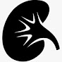 KIDNEY TODAY logo