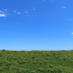 休日の過ごし方chアイコン画像