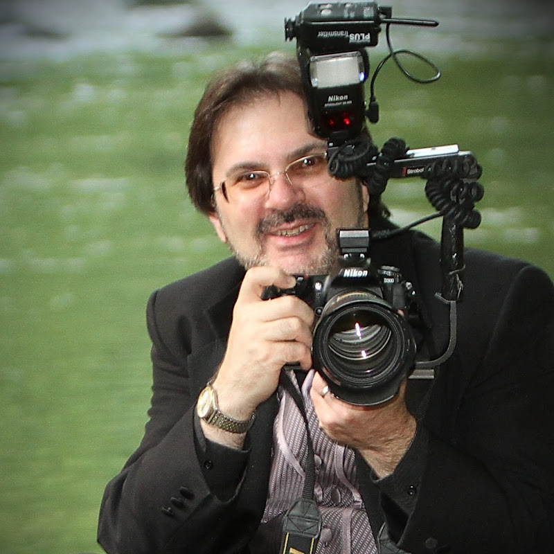 Picture Perfect Designer Photography.com