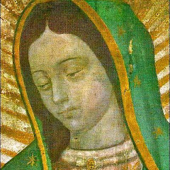 vaticanocatolico.com avatar