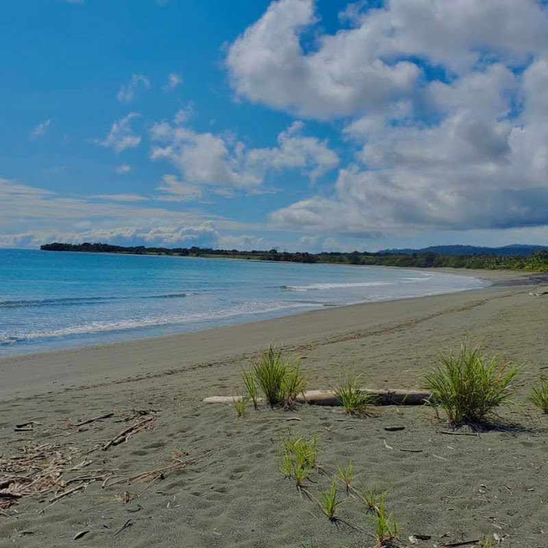 Costa Rica Wild