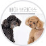 빠마브라더스