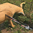 WP55PmV68bg-channel-avatar-Saskatchewan 3D Archery Community