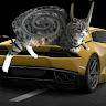 Автор