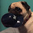 @bubblepug201 Avatar