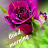 author-img