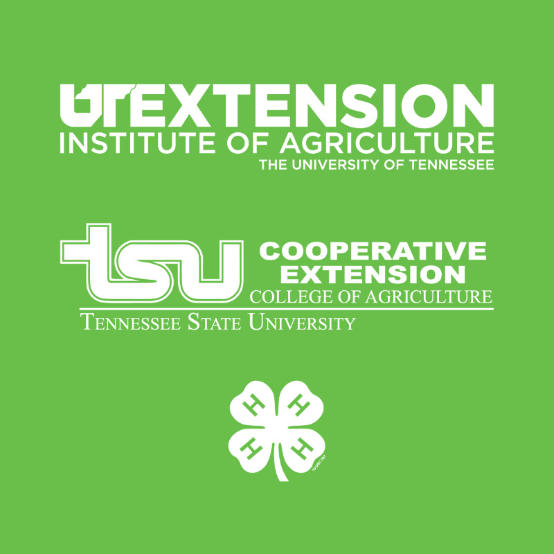 UT-TSU Extension, Wilson County