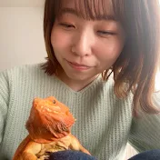 爬ちゅまるチャンネル