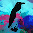 ZgIo6ORA_GY-channel-avatar-Penguin in Poncho