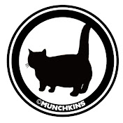 Cute Cats Munchkins TV