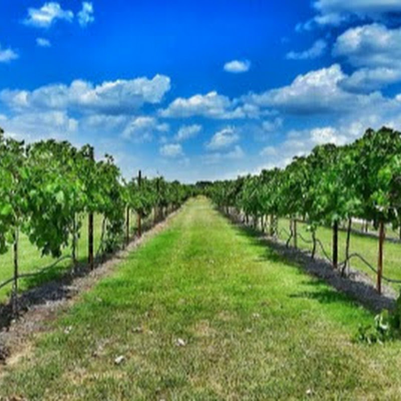 Denton Valley Farms