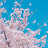 @해피바이러스-c3y