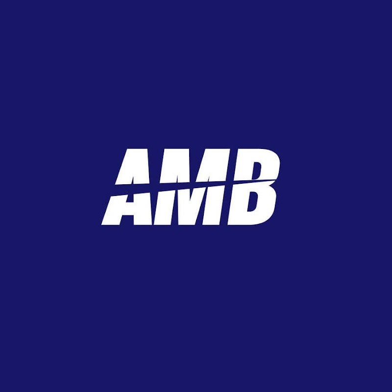 AvroMeir
