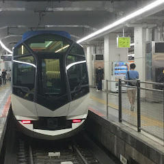 ポケモン•電車廃人