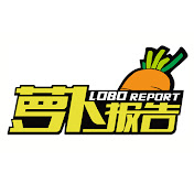 萝卜报告-LOBO REPORT