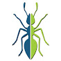 Simply Green Pest Control logo