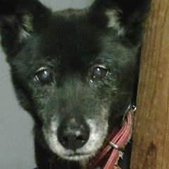 チャンネルとんつ