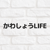 かわしょうchannel