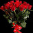 @bushraali7434