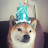 @thedailydoge_beyuuki8652