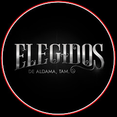Grupo Elegidos De Aldama Tamaulipas