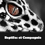 Reptiles et Compagnie