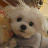 @SELee-gi2rc