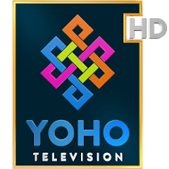 Yoho Television HD net worth