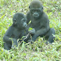 Amazing Animal by love life05 Avatar