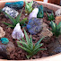 Bu7Xw-nQxXk-channel-avatar-jardineando jardineros