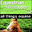 EquestrianNeedsCom