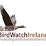 JHTpckUoQ7Q-channel-avatar-BirdWatchIreland
