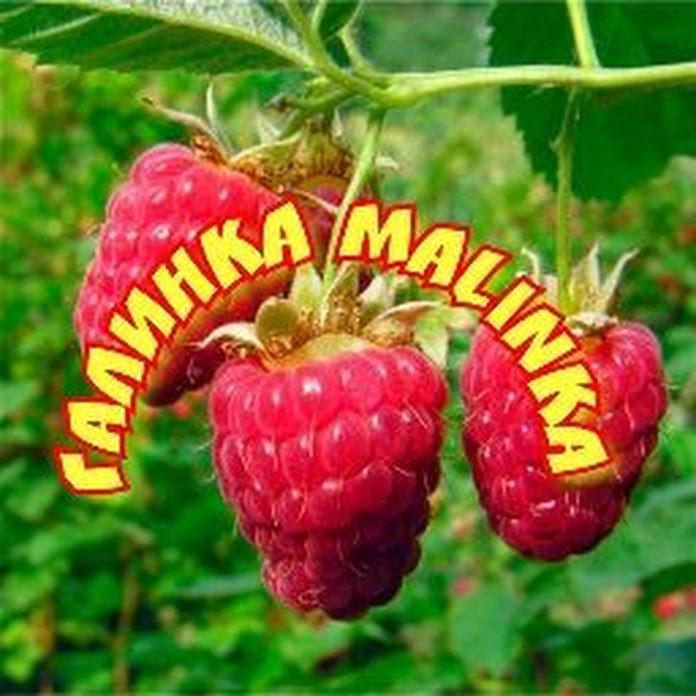 ОБЗОРЫ Галинка Malinka Net Worth & Earnings (2026)