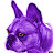 PurpleFrenchie
