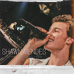Shawn Mendes live in Santiago