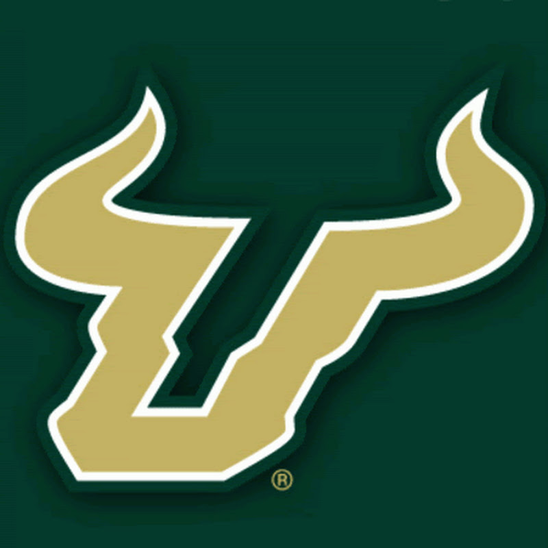 USF MIS Student Success Center Logo